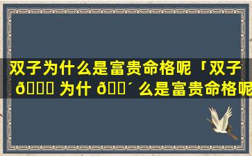 双子为什么是富贵命格呢「双子 🐋 为什 🌴 么是富贵命格呢女生」